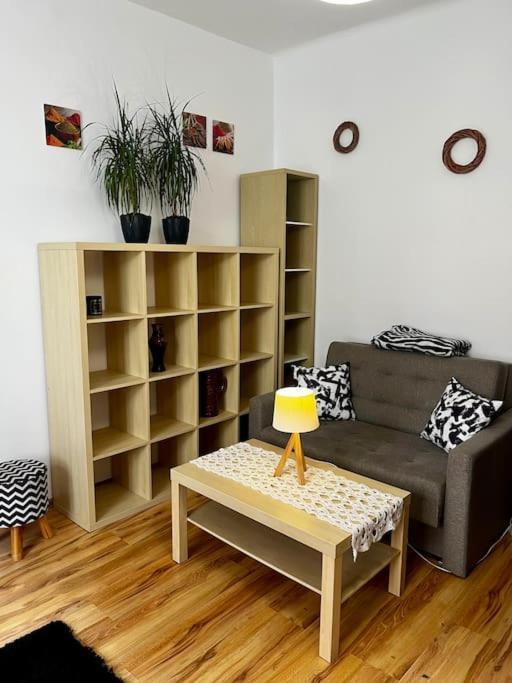 Apartment Starowislna 66 *